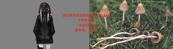 герыч Алексин